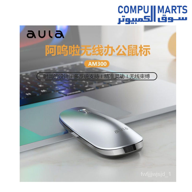 AM300-Mouse-Aula-Wireless-1200DPI