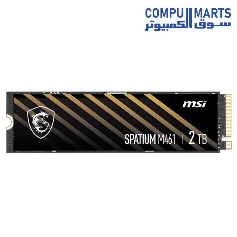 M461-SSD-MSI-NVMe