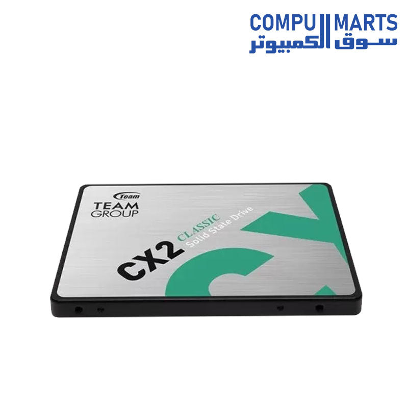 CX2-SSD-Team-Group-256GB