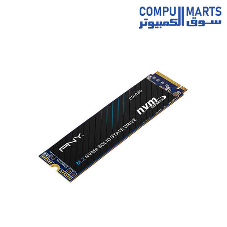 CS1030-SSD-PNY-250GB-500GB-Internal-M.2